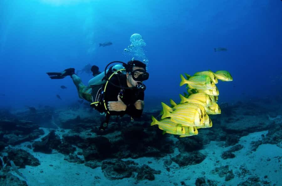 Cancun: Dive and Stay Experience - Who Will Benefit Most from This Experience?