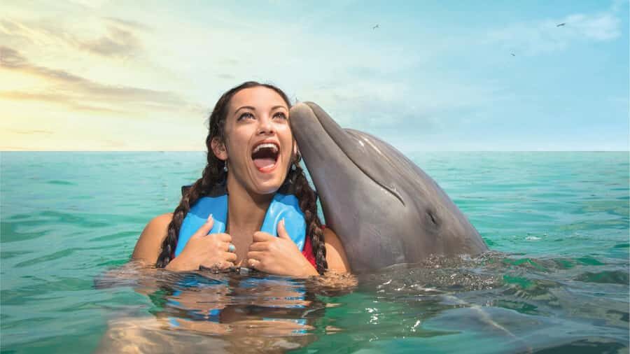 Cancun: Dolphin Connection & Garrafon Reef Park with Buffet - The Experience From a Traveler’s Perspective