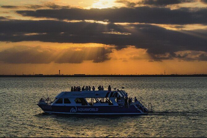 Cancun Lagoon Sunset Experience - Final Thoughts: Who Should Consider This Tour?