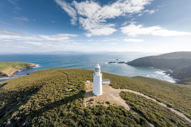 Cape Bruny Lighthouse Tour - Bruny Island - Who Will Love This Tour?
