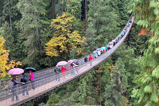 Capilano Suspension Bridge and Grouse Mountain Signature Tour - The Grouse Mountain Skyride: Panoramic Views and Seasonal Fun