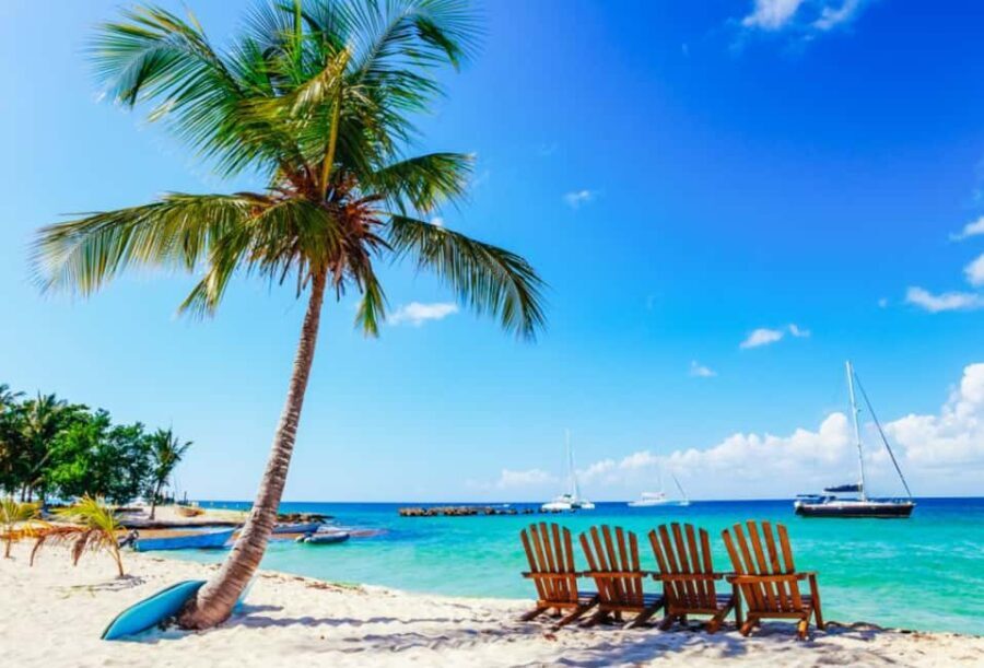 Catalina Island Full-Day Snorkeling Tour - What Travelers Say