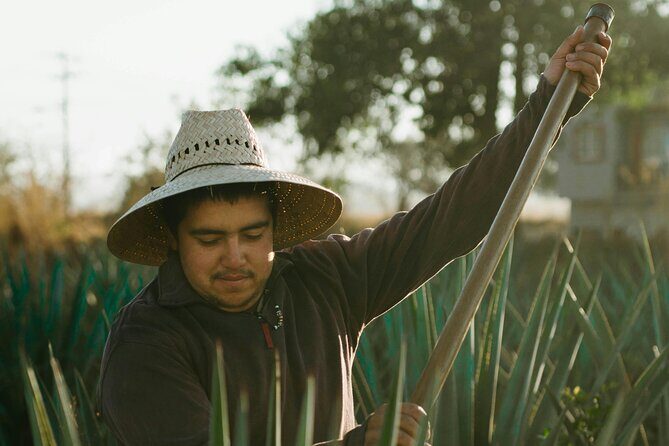 CDMX Tasting of Mezcal vibes - Practical Details and Tips for Travelers