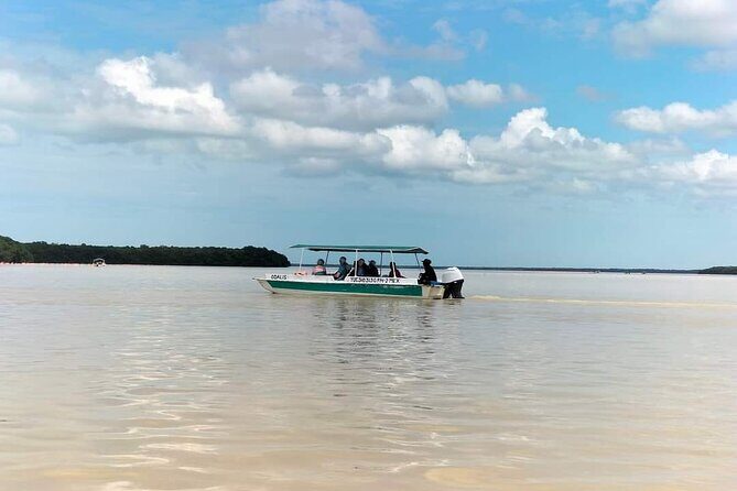 Celestun, Flamenco Adventure, from Merida - A Detailed Look at the Tour Experience