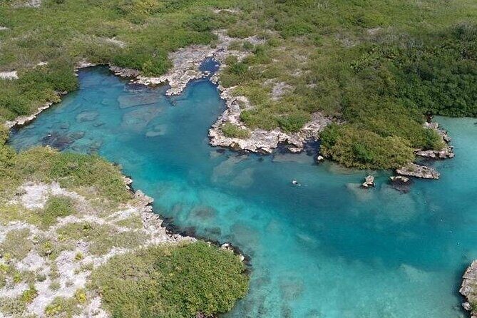 Cenote Cave and Yalku Lagoon Snorkeling - What Travelers Are Saying (Based on Reviews)