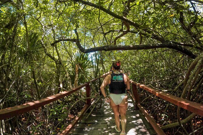 Cenotes Casa Tortuga: 4 Cenotes Day Pass + Kayak - A Deep Dive into the Tours Details