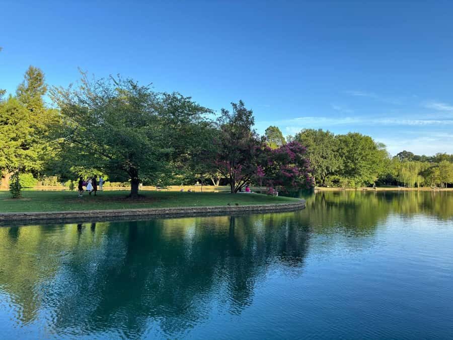 Charlotte: Guided Walking Tour - What’s Included and Practical Details