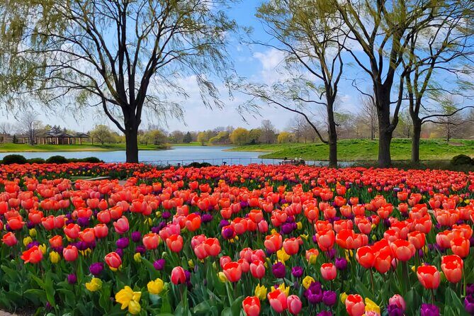 Chicago Suburbs Hidden Gems: Small-Group Exploration Tour - The Practicalities: What You Need to Know