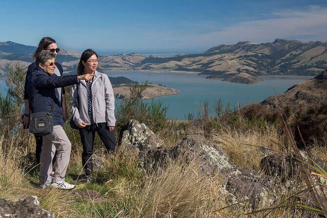 Christchurch Sightseeing Pass - Who Will Love This Tour?