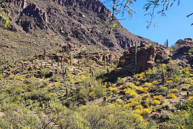 City of Tucson Tour - What Travelers Are Saying (Based on Available Feedback)  