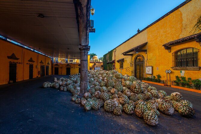 Classical Experience - Final Thoughts: Is It Worth It?