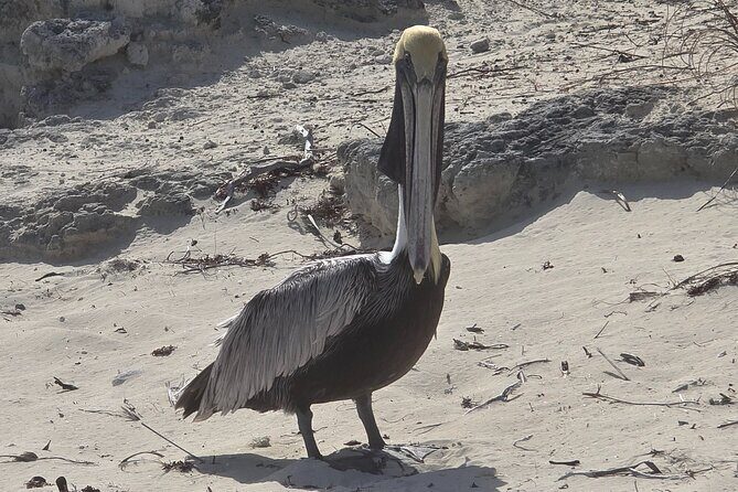 Clear Kayak ECO Tours - Authenticity and Real Traveler Impressions