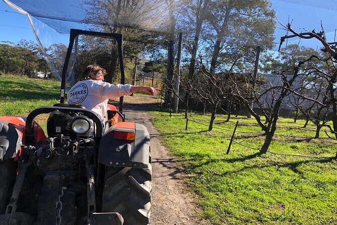 Coastal Scenic Food & Wine Trail - The Sum Up: Who Should Sign Up?