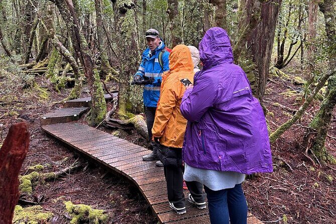 Cradle Mountain Half Day Dove Lake Guided Tour with Lunch - FAQ