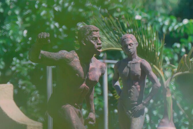 Croydon In The Mountains - Exotic Fruits & Flowers - The Location: Croydon In The Mountains