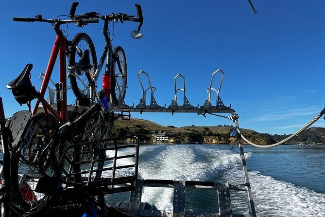 Cycle Ferry, Dunedin Harbour Cycle Trail - What’s Included & What to Prepare For