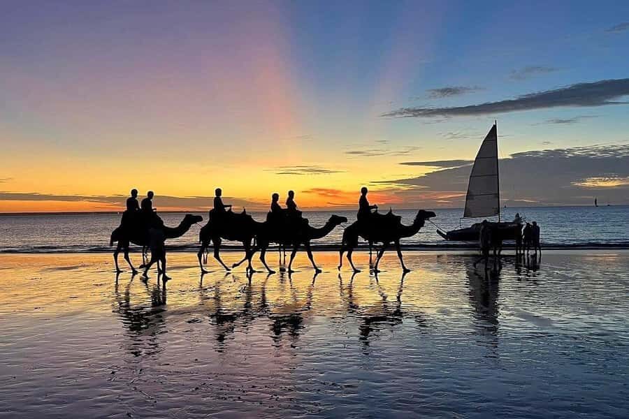 Darwin: Sunset Camel Ride along Mindil Beach - Who Will Enjoy This Tour?