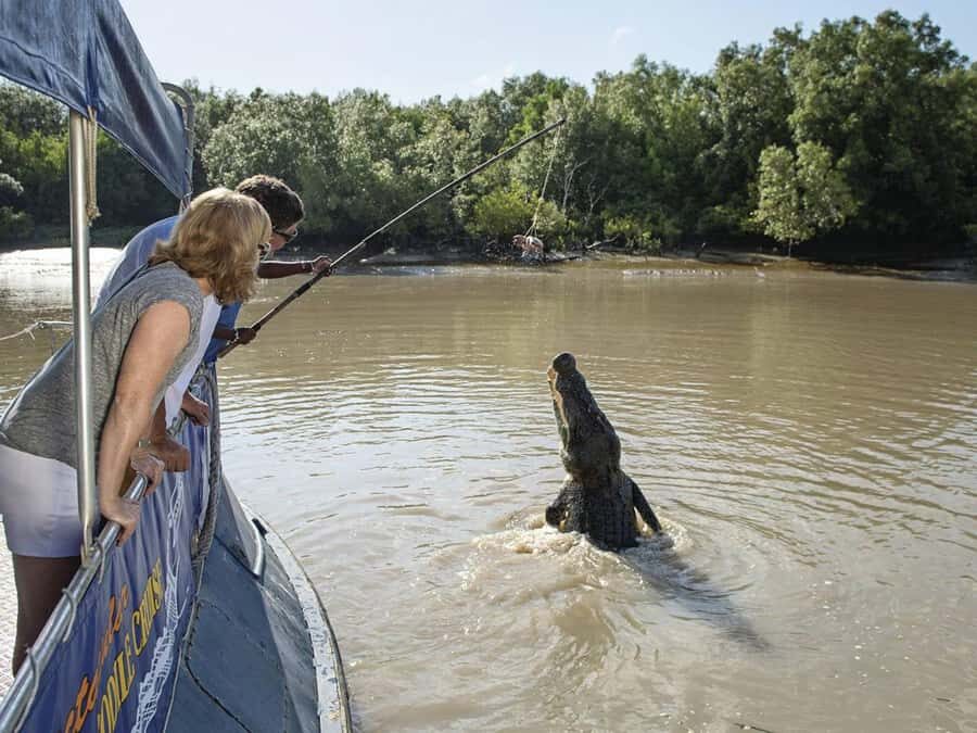 Darwin6 Day Darwin Tour Package - What Travelers Say About This Tour