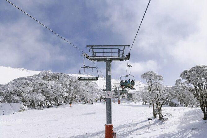 Day Trip To Snowy Mountains From Sydney - Why This Tour Offers Value