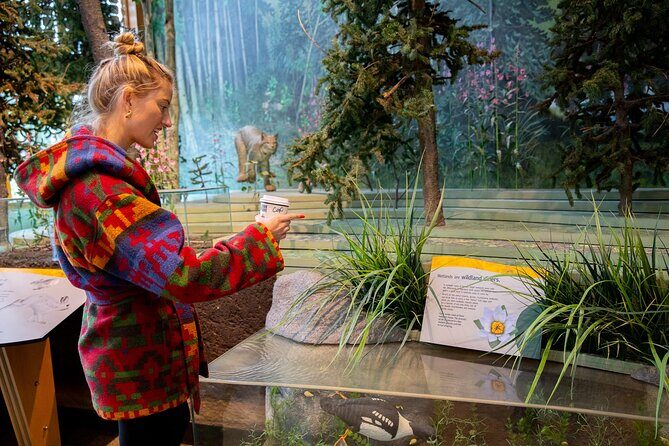 Denali in a Day Sightseeing Package - Final Thoughts: Is It Worth It?