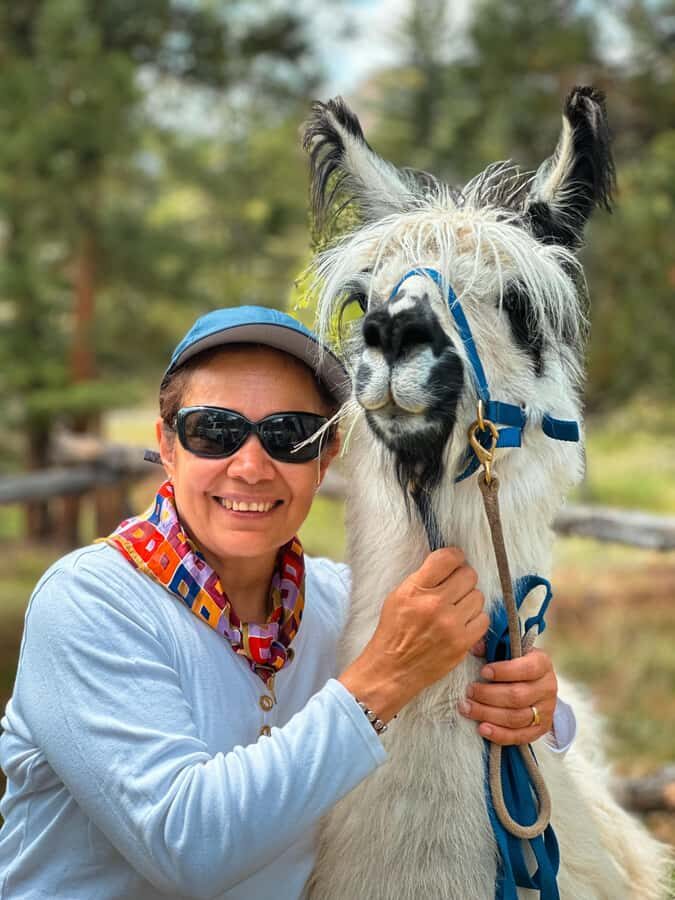 Denver: Llama Lunch in the Rocky Mountains - The Trek: Walking with Llamas