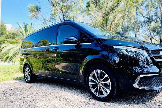 Departing Sydney: Luxury Transfer to Airport or Cruise Port - Who Is This Transfer Best For?