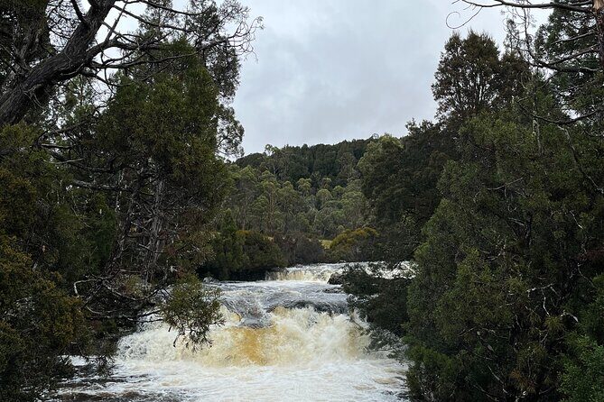 Devonport Cradle Mt Sightseeing tour - The Sum Up