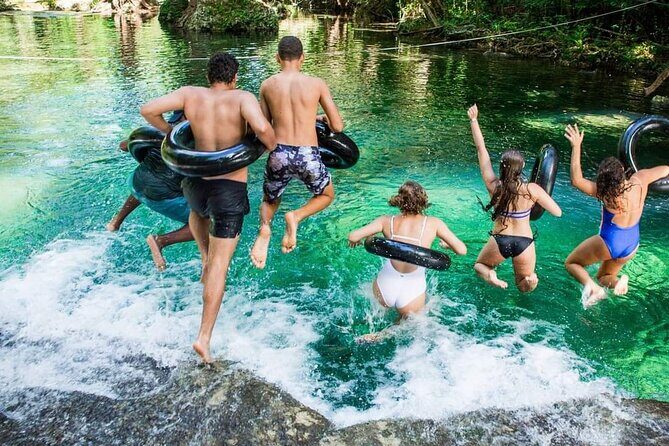 Discover Cascades & Turtle Experience with Yumi Tours - Who Will Love This Tour?