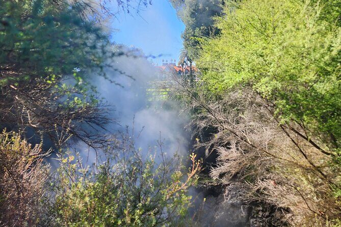 Discover Rotorua Guided Walking Tour of Hidden Gems - Who’s This Tour Best For?