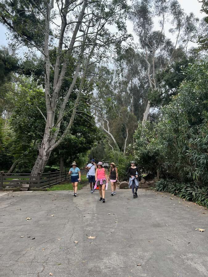 Discover Santa Monicas Hidden Stairways & Canyon Paths - Practical Considerations