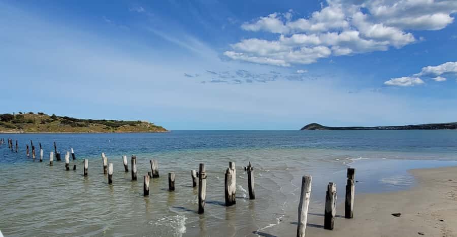 Discover Victor Harbor Guided Walking Tour - Who Will Love This Tour?