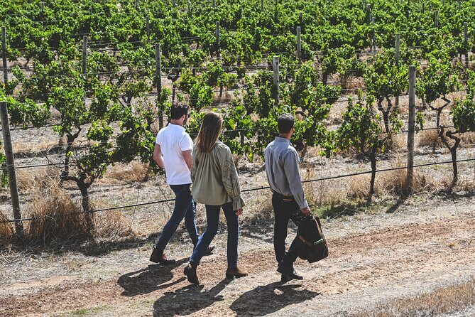 Discover Voyager Tour and Seasonal Lunch - Why This Tour Stands Out