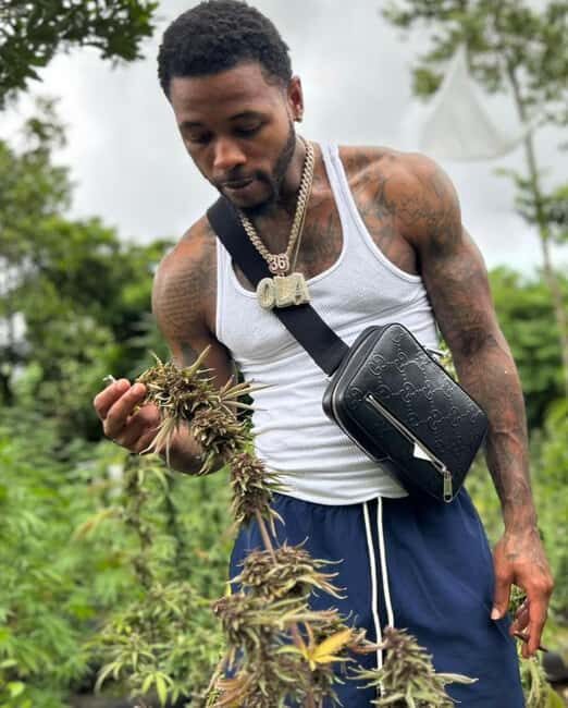 Doctor's Cave Beach, Canabis and Bird Farm Private Tour - Why You’ll Appreciate the Value