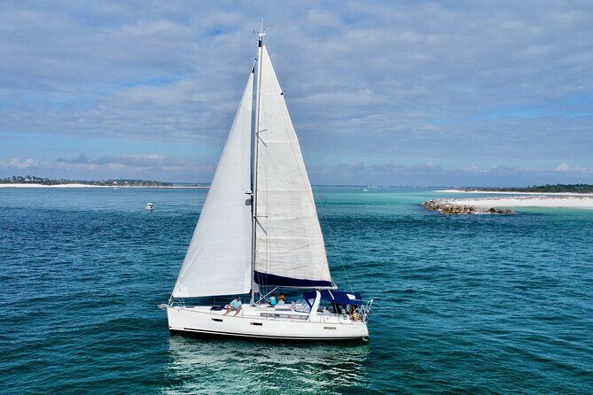 Dolphin Sightseeing Sail Aboard Daydreams Sailboat - Who Would Love This Tour?