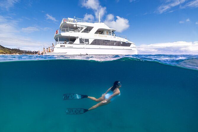 Dolphin & Tangalooma Wrecks Snorkel Cruise & Lunch - Gold Coast - Who Will Love This Tour?