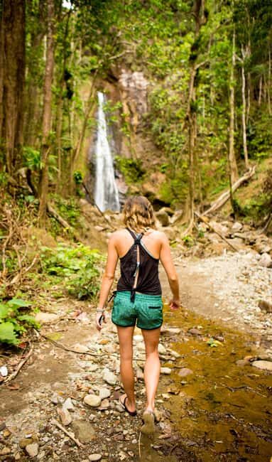 Dominica Hiking Adventures - Why Choose Dominica Hiking Adventures?