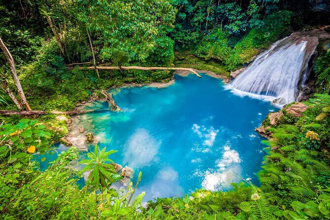 Dunn's River Falls and Blue Hole Tour from Montego Bay - The Value and Who This Tour Is Best For