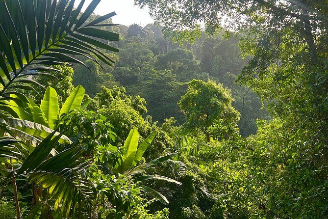 Dunns River Falls Mahogany Beach and Hilltop Lookout Tour - Practical Details and Tips