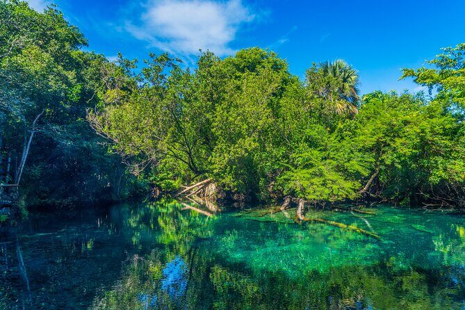 Eco Tour in the Cenotes Indigenous Eyes in Punta Cana - Authenticity and Traveler Feedback