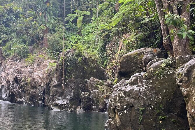 El Yunque Rainforest Adventure: Hidden Waterfalls & Water Slides - Who Will Love This Tour?