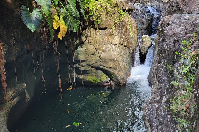 El Yunque Rainforest and Luquillo Kiosk Day Trip - Whats Included and Whats Not