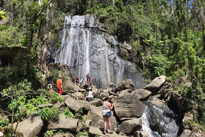 El Yunque Rainforest Hiking Tour from San Juan - What We’ve Learned from Reviews