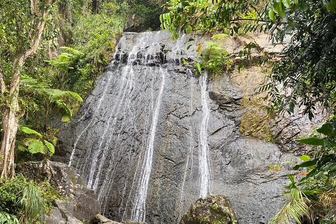 El Yunque Rainforest VIP Experience - Who Will Love It?