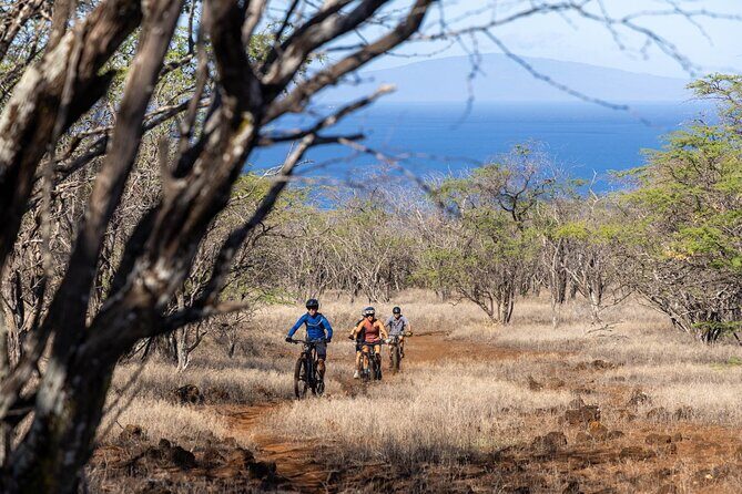Emountain Bike Tour Maui | Grand Tour Private Ranch - The Ride: What to Expect