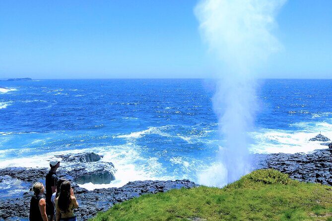 Erupting Blowholes and Ancient Rainforests SOUTH COAST OF SYDNEY PRIVATE TOUR - Why This Tour Works for Visitors
