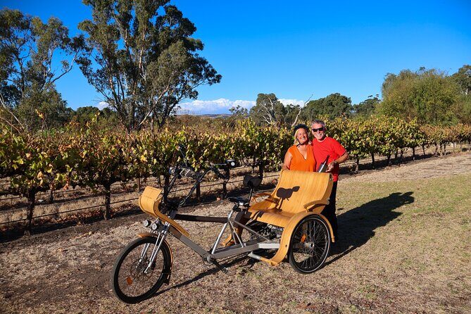 eTukTuk Adventure from Oxenberry Farm in McLaren Vale - Final Thoughts