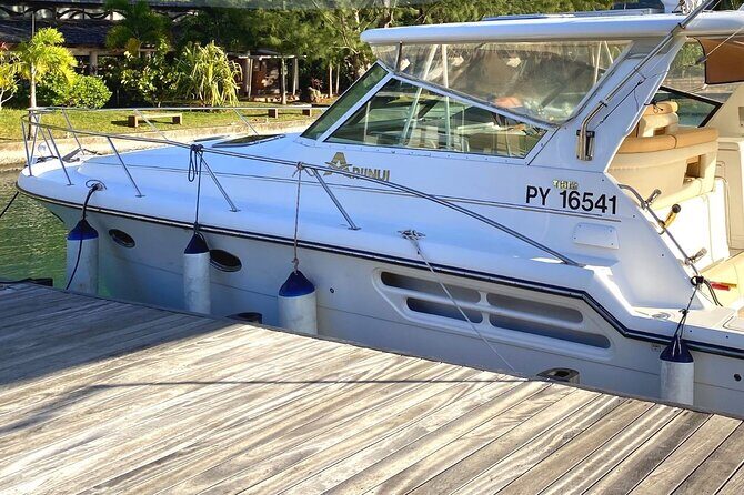 Exceptional whale watching in a Tahiti Yacht - FAQ