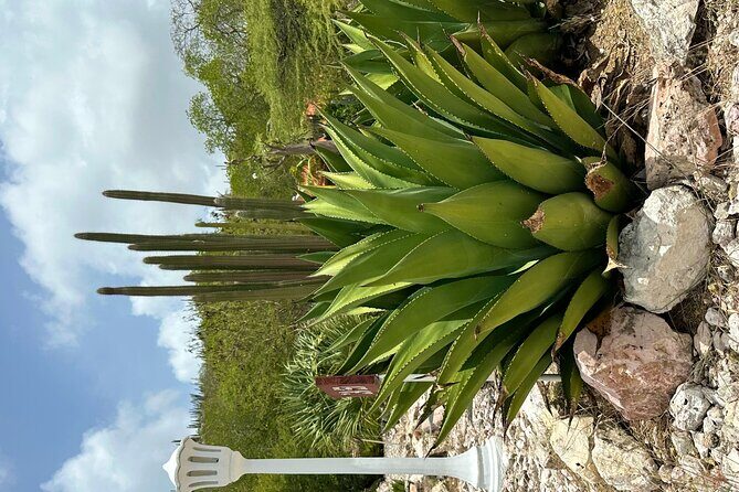 Exclusive 4 -Hour Private nature Tour: West Curacao's Best - Who Will Enjoy This Tour?