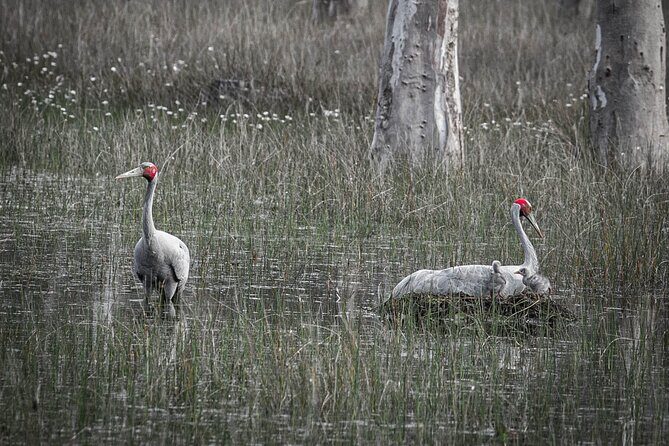 Exclusive Farm Experience - Why This Tour Works