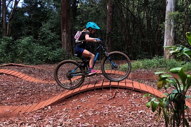 Experience Biking Adventure in Maui Mountain - What Previous Participants Say